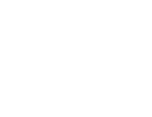 Logo white